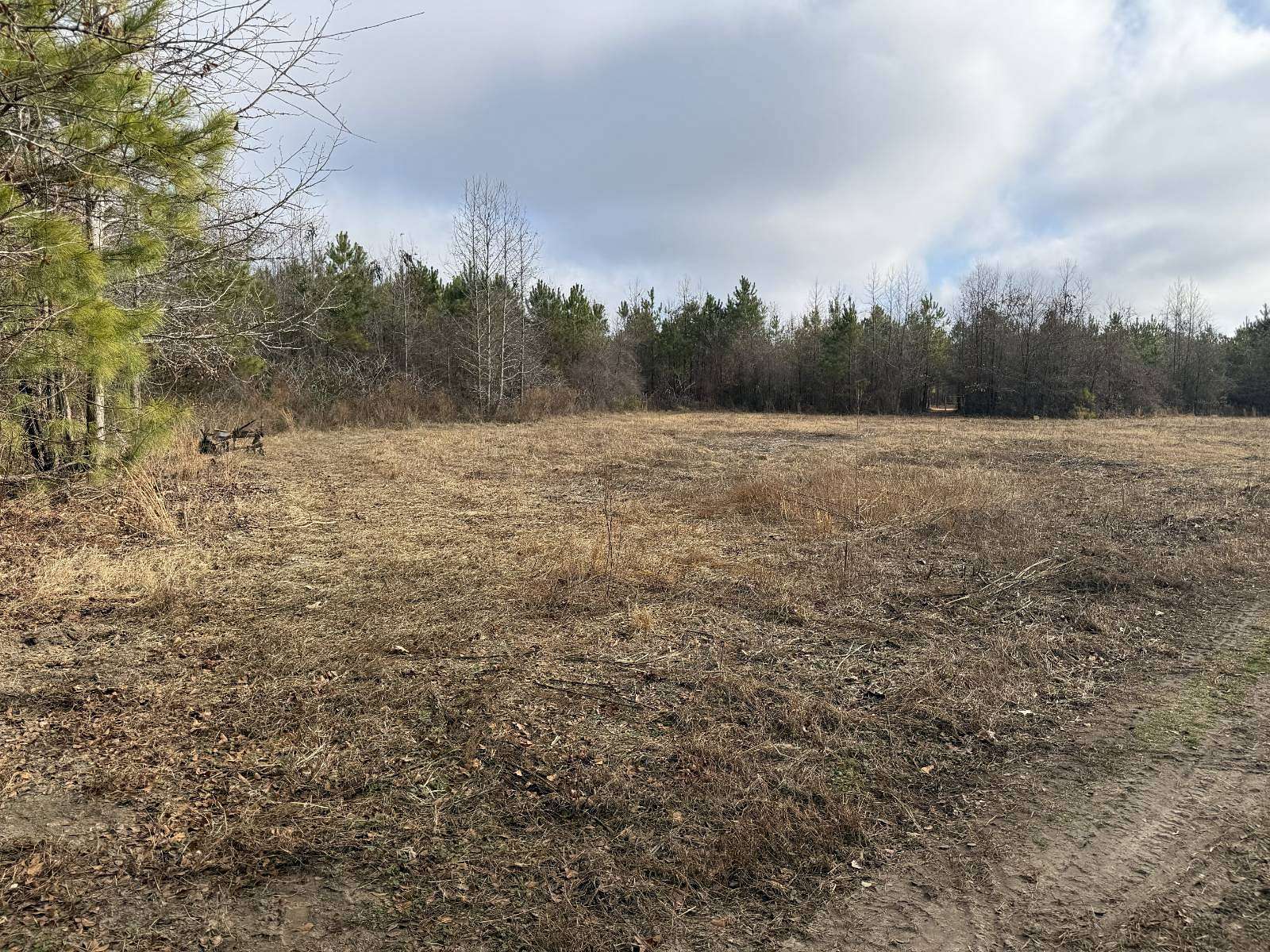 22 Acres of Land for Sale in Bennettsville, South Carolina