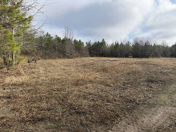 22 Acres of Land for Sale in Bennettsville, South Carolina