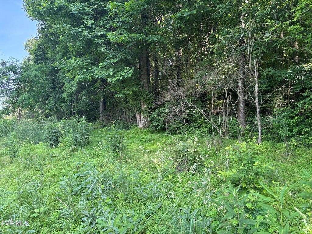 1 Acre of Residential Land for Sale in Abingdon, Virginia