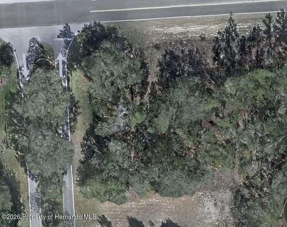 0.28 Acres of Residential Land for Sale in Homosassa, Florida