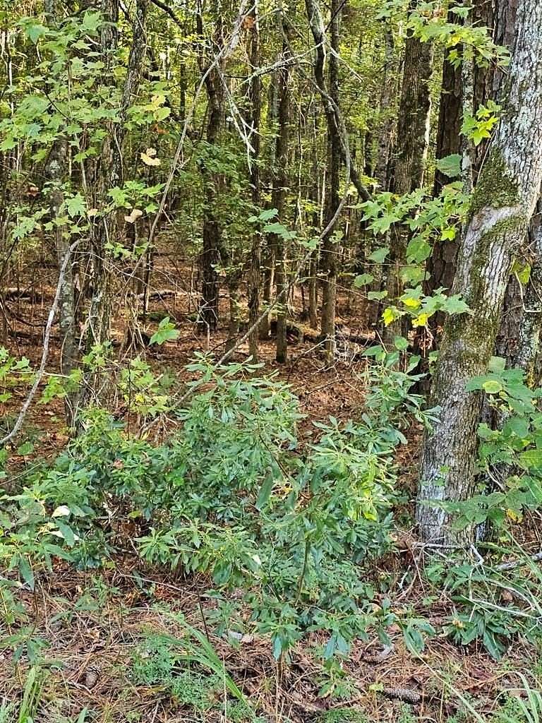 0.65 Acres of Residential Land for Sale in Waverly Hall, Georgia