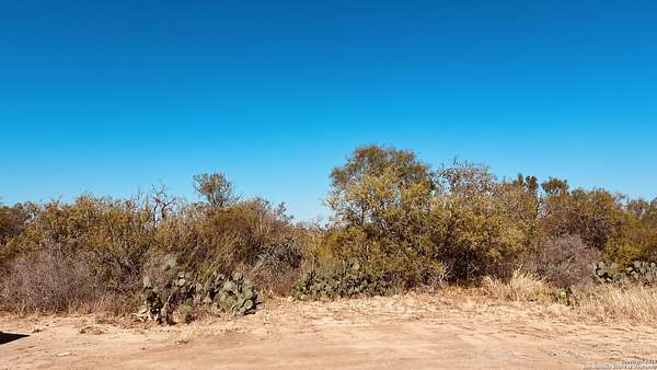 2 Acres of Residential Land for Sale in Poteet, Texas