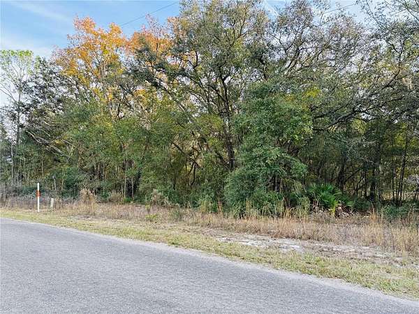 0.41 Acres of Residential Land for Sale in Ocklawaha, Florida