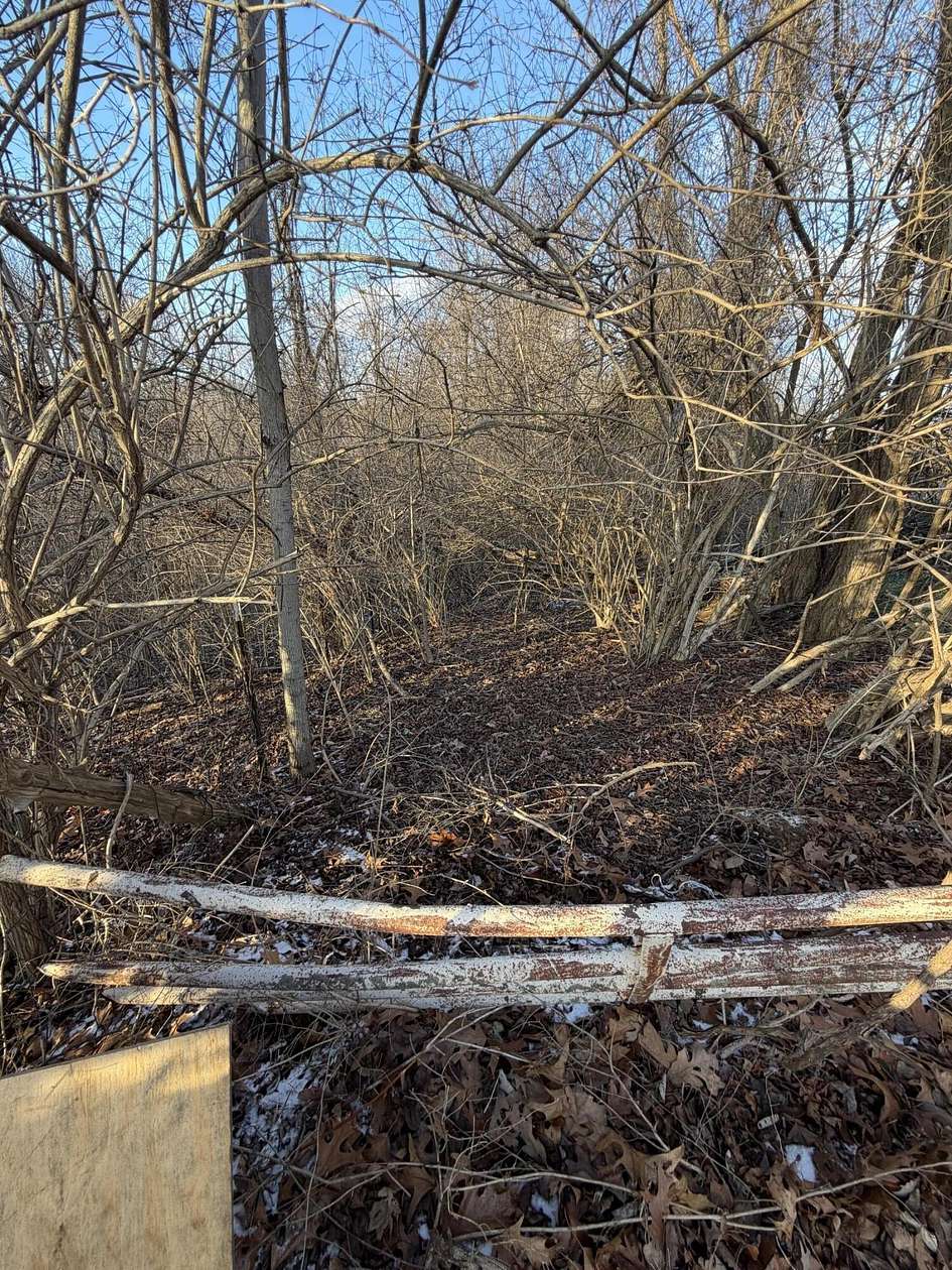 30 Acres of Land for Sale in McKee, Kentucky