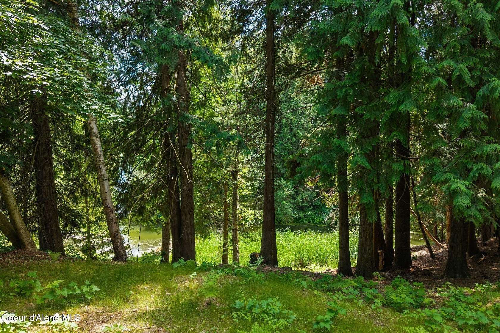 0.26 Acres of Residential Land for Sale in Sandpoint, Idaho