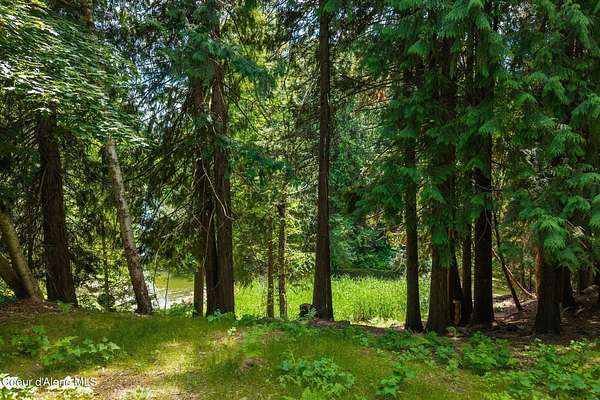 0.26 Acres of Residential Land for Sale in Sandpoint, Idaho