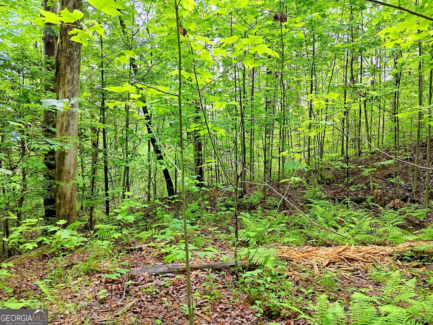 1.26 Acres of Residential Land for Sale in Rabun Gap, Georgia