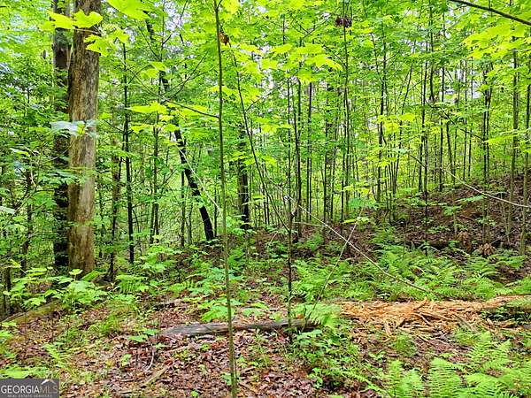 1.26 Acres of Residential Land for Sale in Rabun Gap, Georgia
