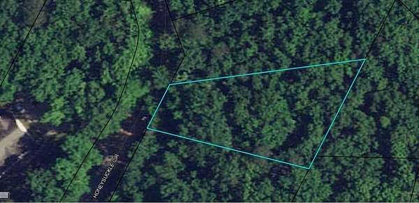 0.46 Acres of Residential Land for Sale in Waverly Hall, Georgia