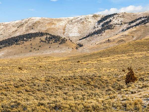 19.2 Acres of Recreational Land for Sale in Twin Bridges, Montana