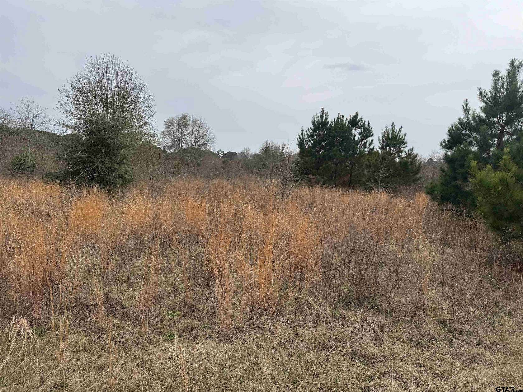 0.92 Acres of Residential Land for Sale in Bullard, Texas