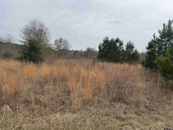 0.92 Acres of Residential Land for Sale in Bullard, Texas