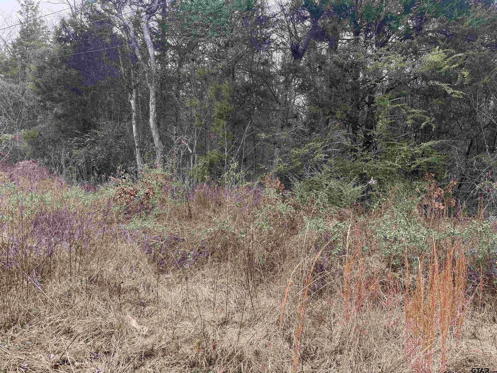 0.41 Acres of Residential Land for Sale in Bullard, Texas