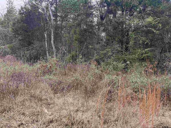 0.41 Acres of Residential Land for Sale in Bullard, Texas