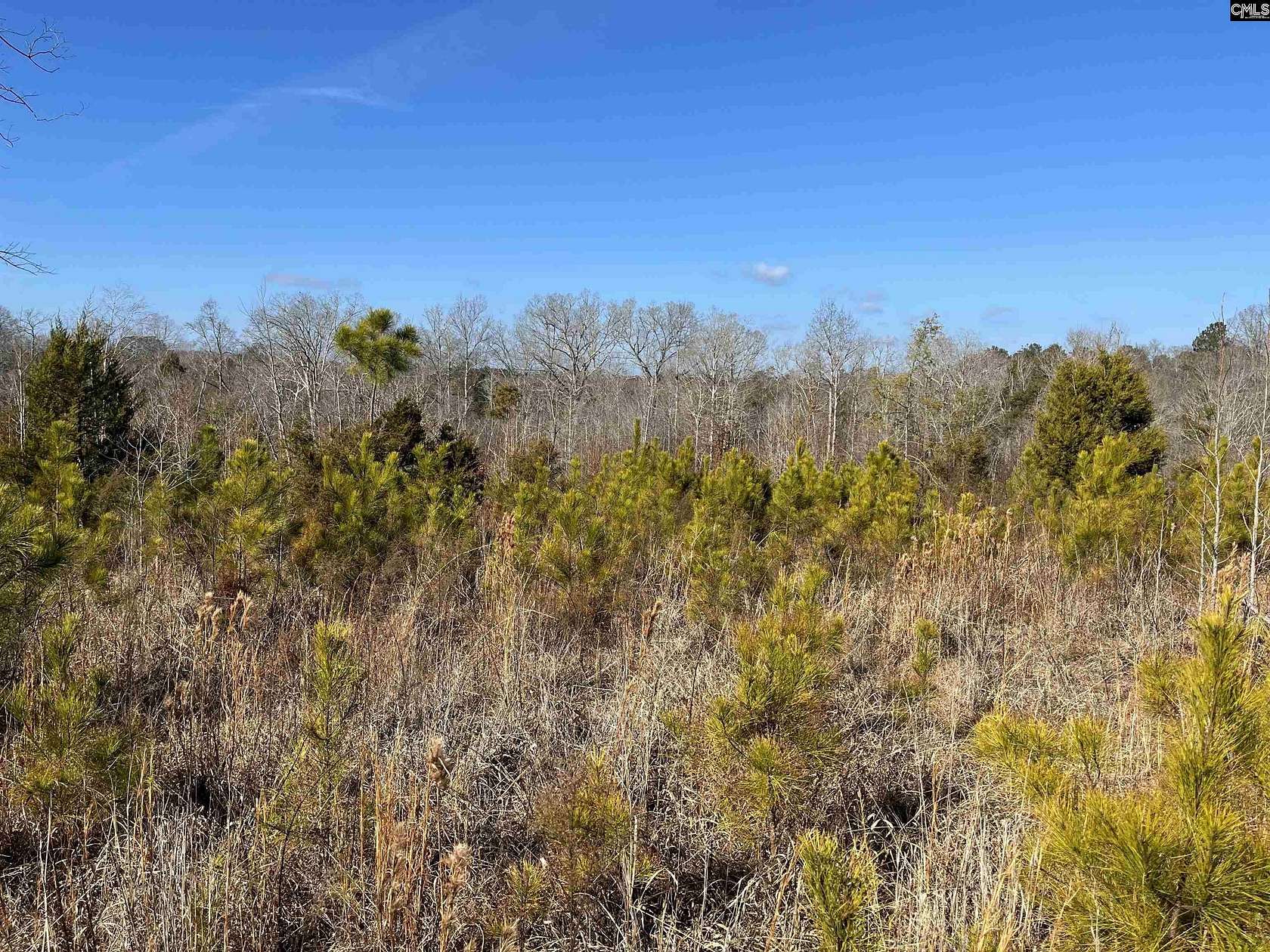 40 Acres of Land for Sale in Winnsboro, South Carolina