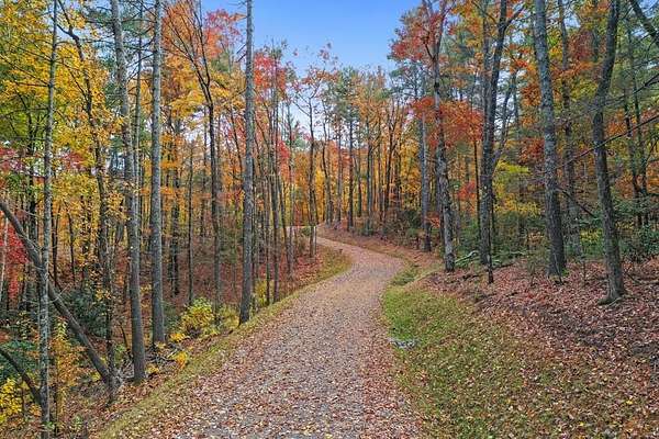 4.5 Acres of Residential Land for Sale in Blue Ridge, Georgia