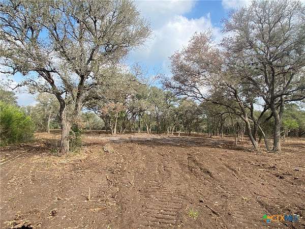 10.8 Acres of Land for Sale in Goliad, Texas