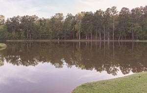 0.45 Acres of Residential Land for Sale in Waverly Hall, Georgia