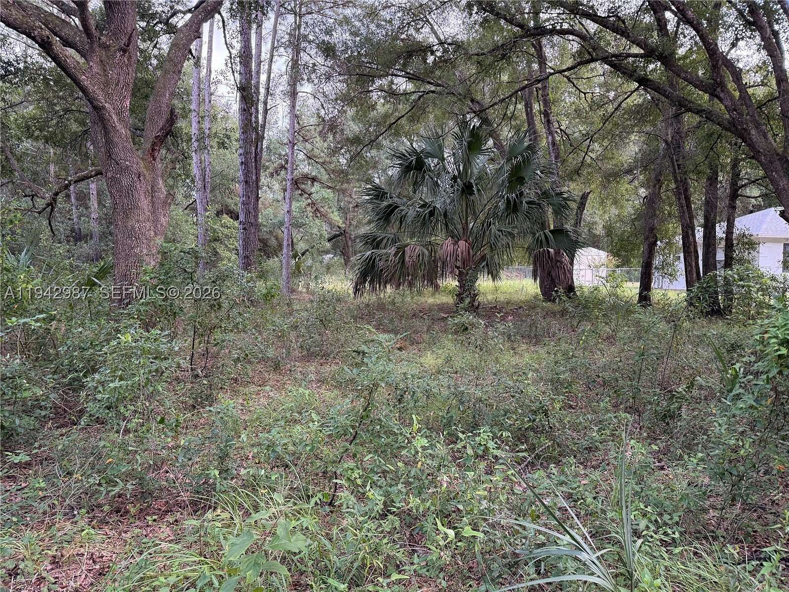 0.25 Acres of Residential Land for Sale in Dunnellon, Florida