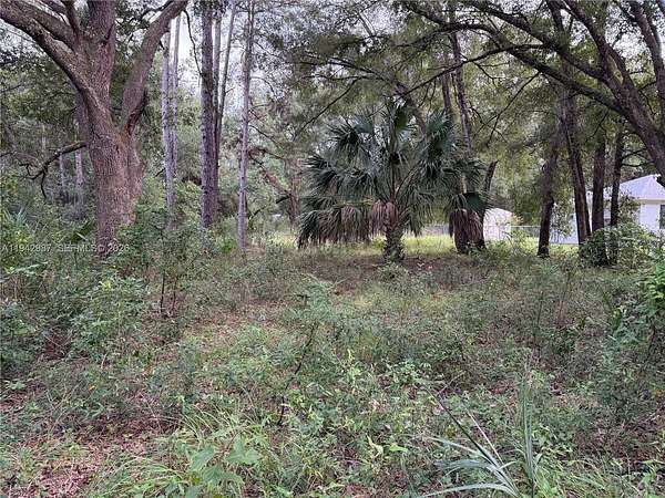0.25 Acres of Residential Land for Sale in Dunnellon, Florida