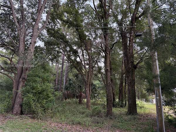 0.25 Acres of Residential Land for Sale in Dunnellon, Florida