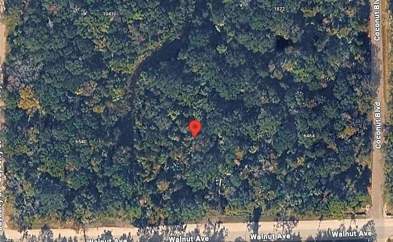 1.29 Acres of Land for Sale in Bunnell, Florida