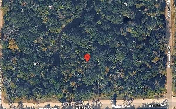 1.29 Acres of Land for Sale in Bunnell, Florida