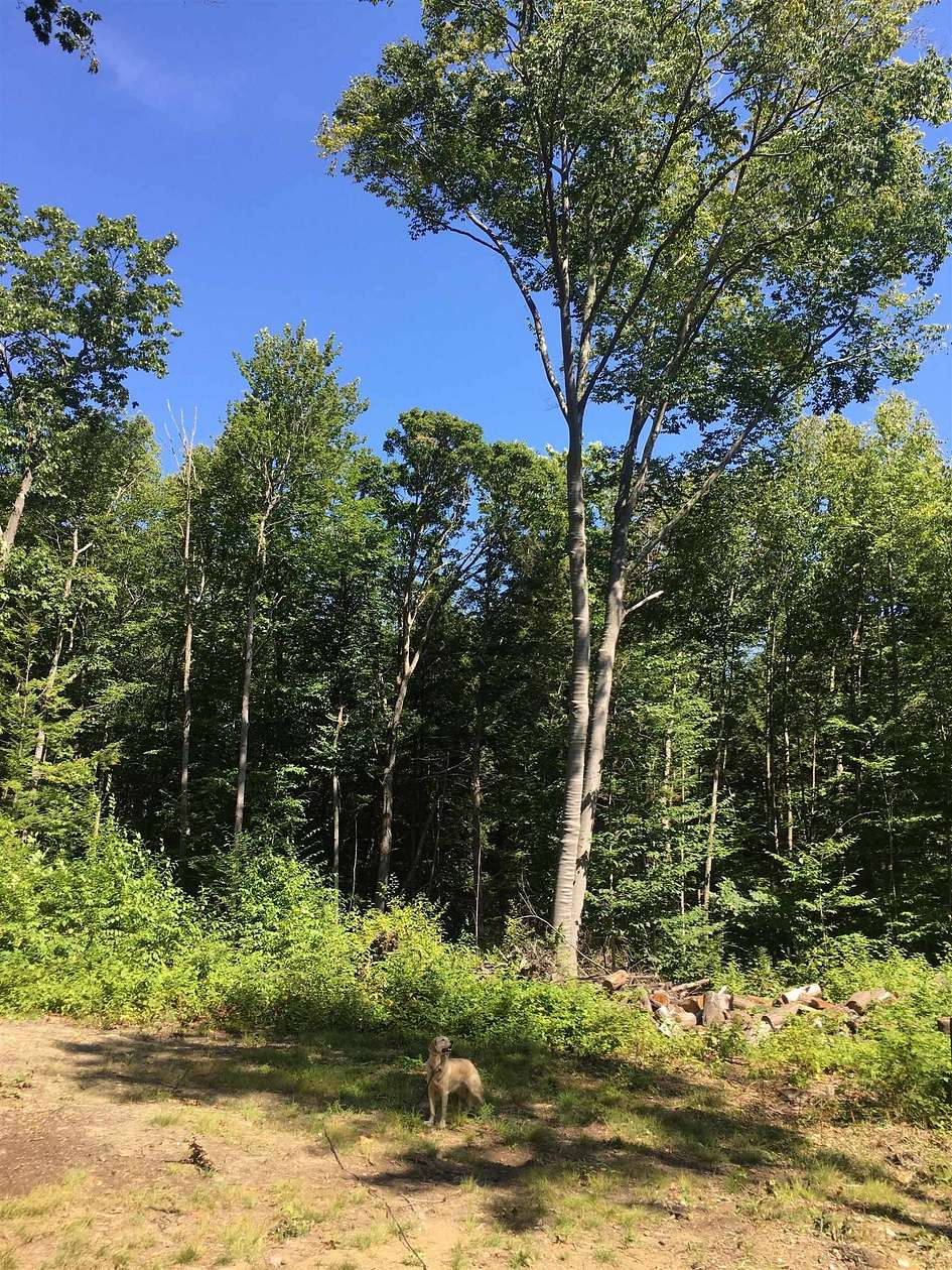 5.1 Acres of Residential Land for Sale in Putney, Vermont