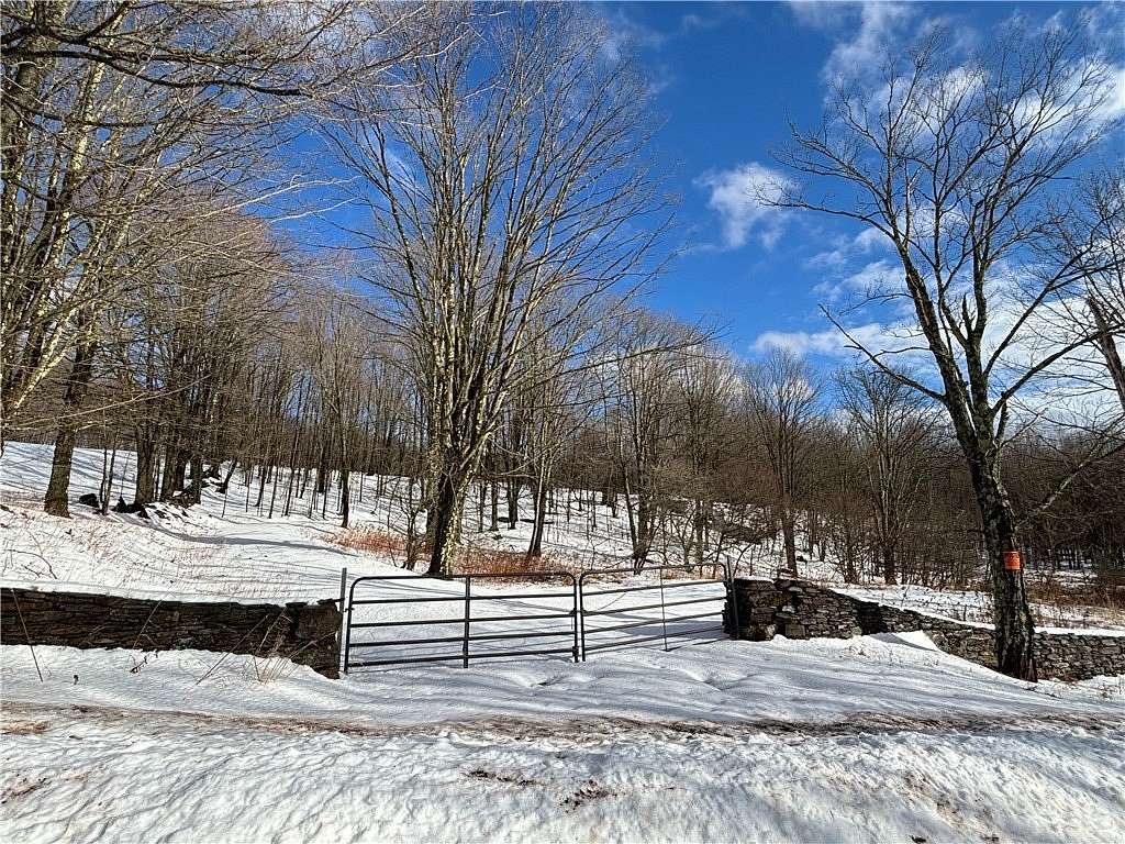 58.4 Acres of Recreational Land for Sale in Bloomville, New York
