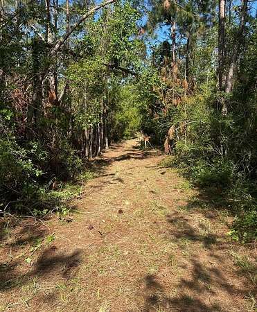 3 Acres of Residential Land for Sale in Lyons, Georgia