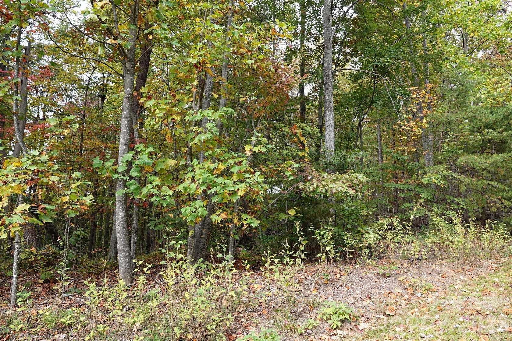 5.34 Acres of Residential Land for Sale in Bostic, North Carolina