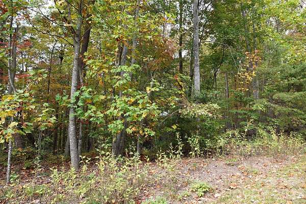 5.34 Acres of Residential Land for Sale in Bostic, North Carolina