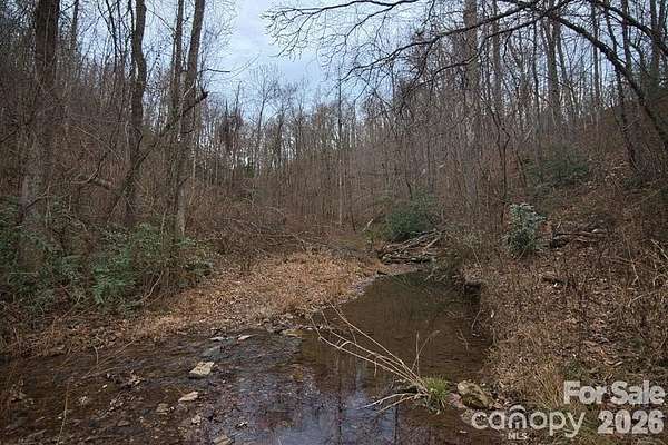 6.5 Acres of Agricultural Land for Sale in Saluda, North Carolina