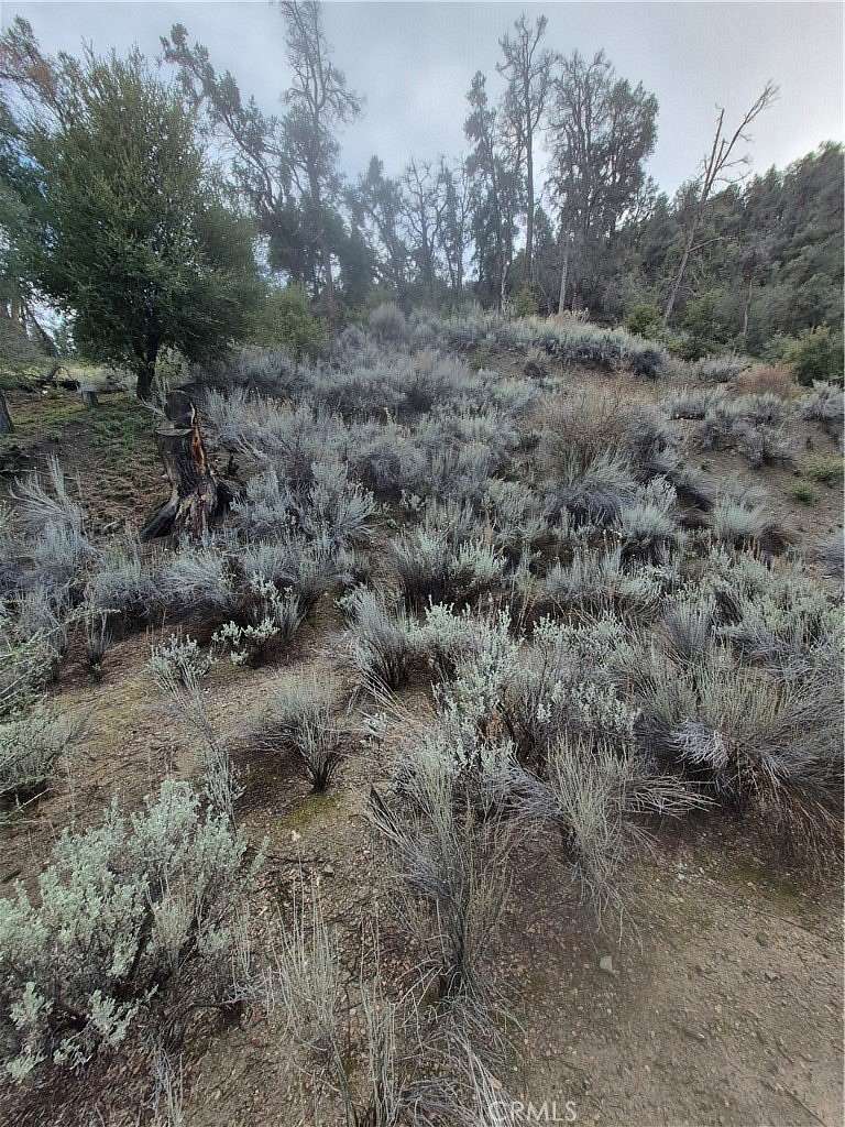 0.5 Acres of Land for Sale in Pine Mountain Club, California