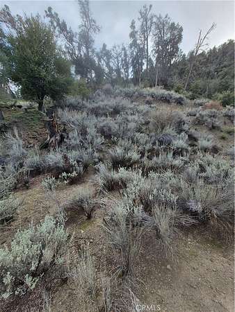 0.5 Acres of Land for Sale in Pine Mountain Club, California