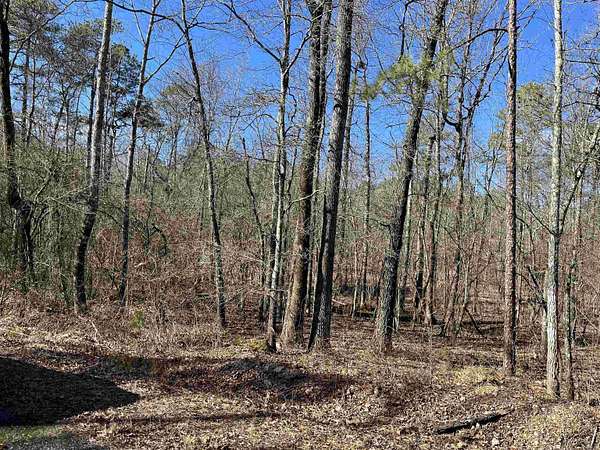 0.29 Acres of Residential Land for Sale in Hot Springs Village, Arkansas