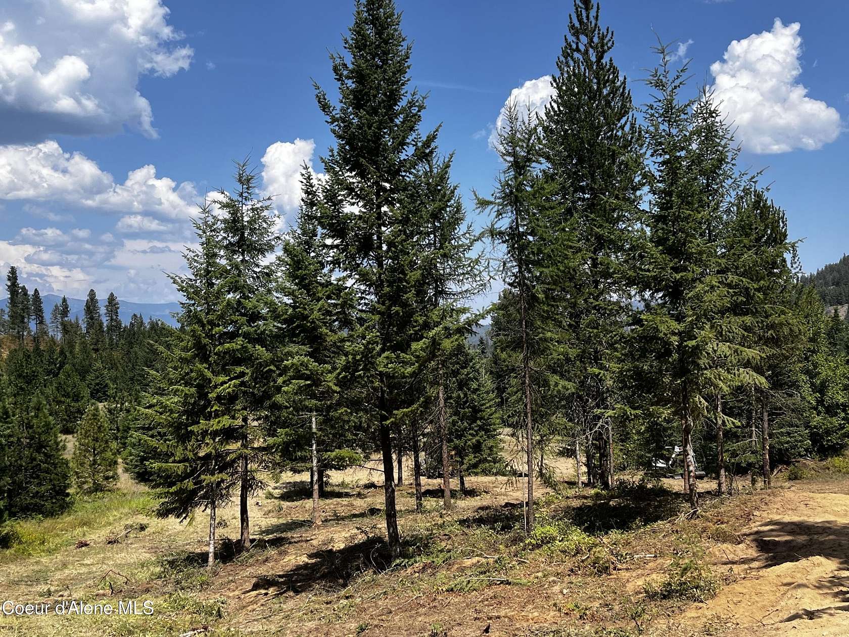 10 Acres of Residential Land for Sale in Sagle, Idaho