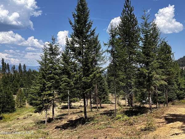 10 Acres of Residential Land for Sale in Sagle, Idaho