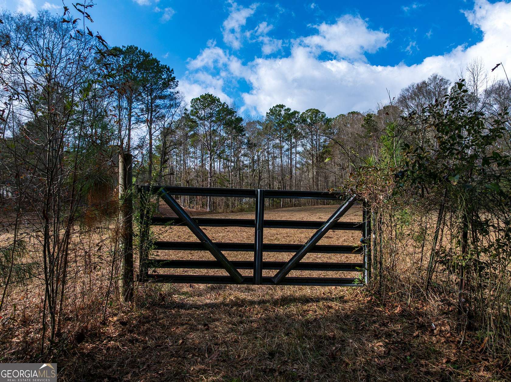 2.83 Acres of Residential Land for Sale in Shiloh, Georgia