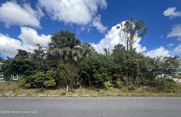 0.23 Acres of Residential Land for Sale in Palm Bay, Florida