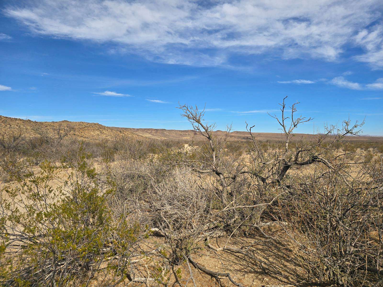 25 Acres of Land for Sale in Terlingua, Texas