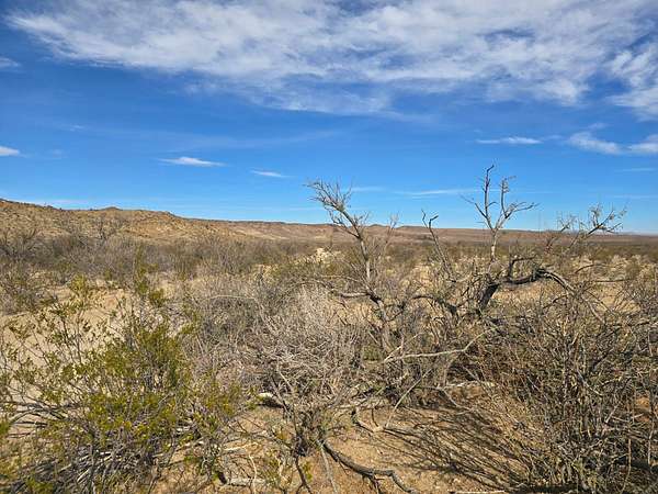 25 Acres of Land for Sale in Terlingua, Texas