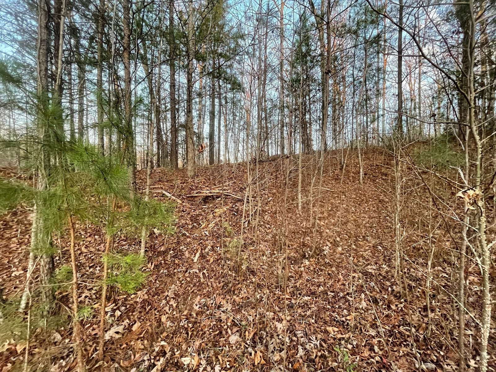 1.17 Acres of Residential Land for Sale in Mooresboro, North Carolina