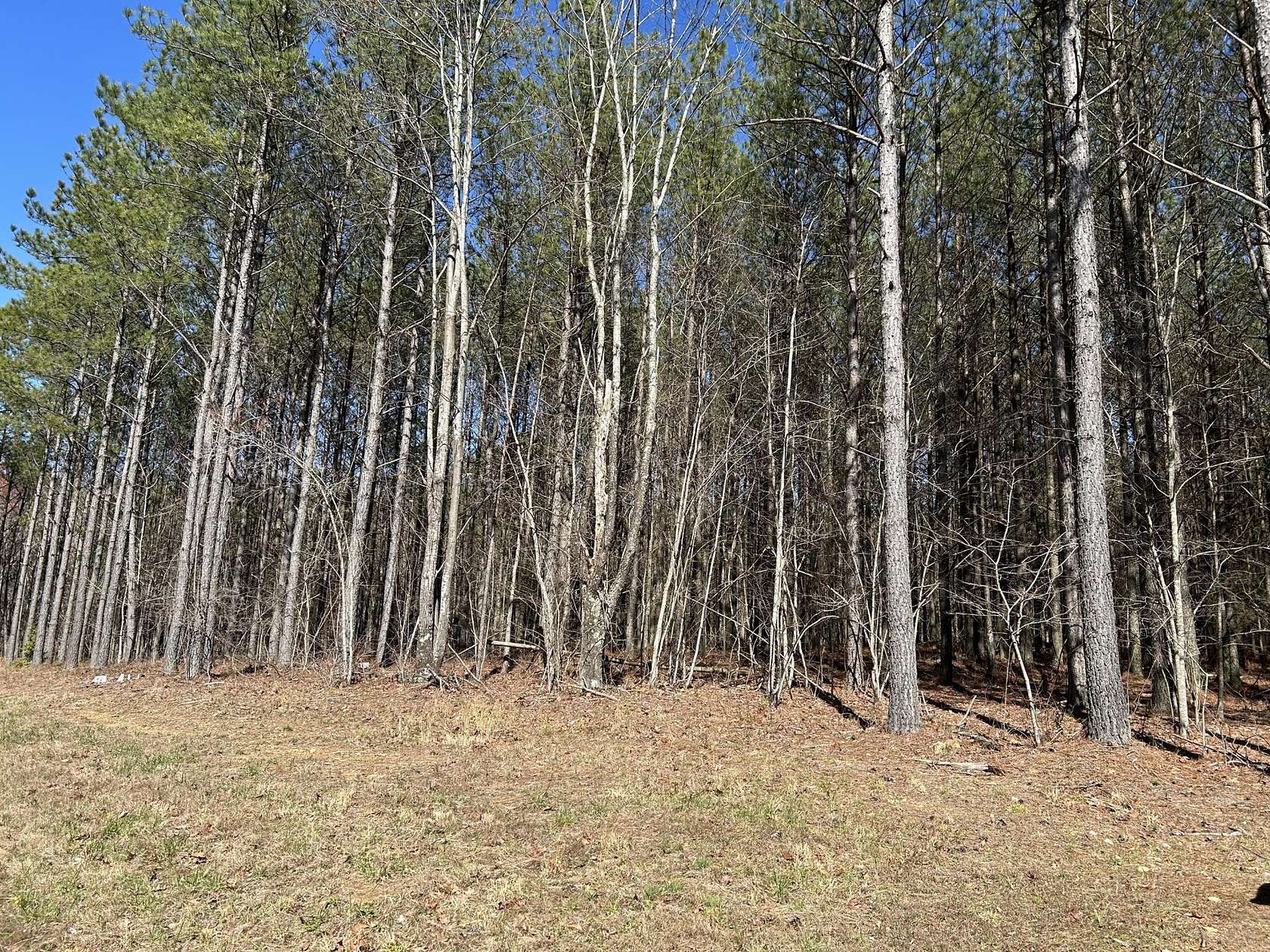 1 Acre of Residential Land for Sale in Jasper, Tennessee