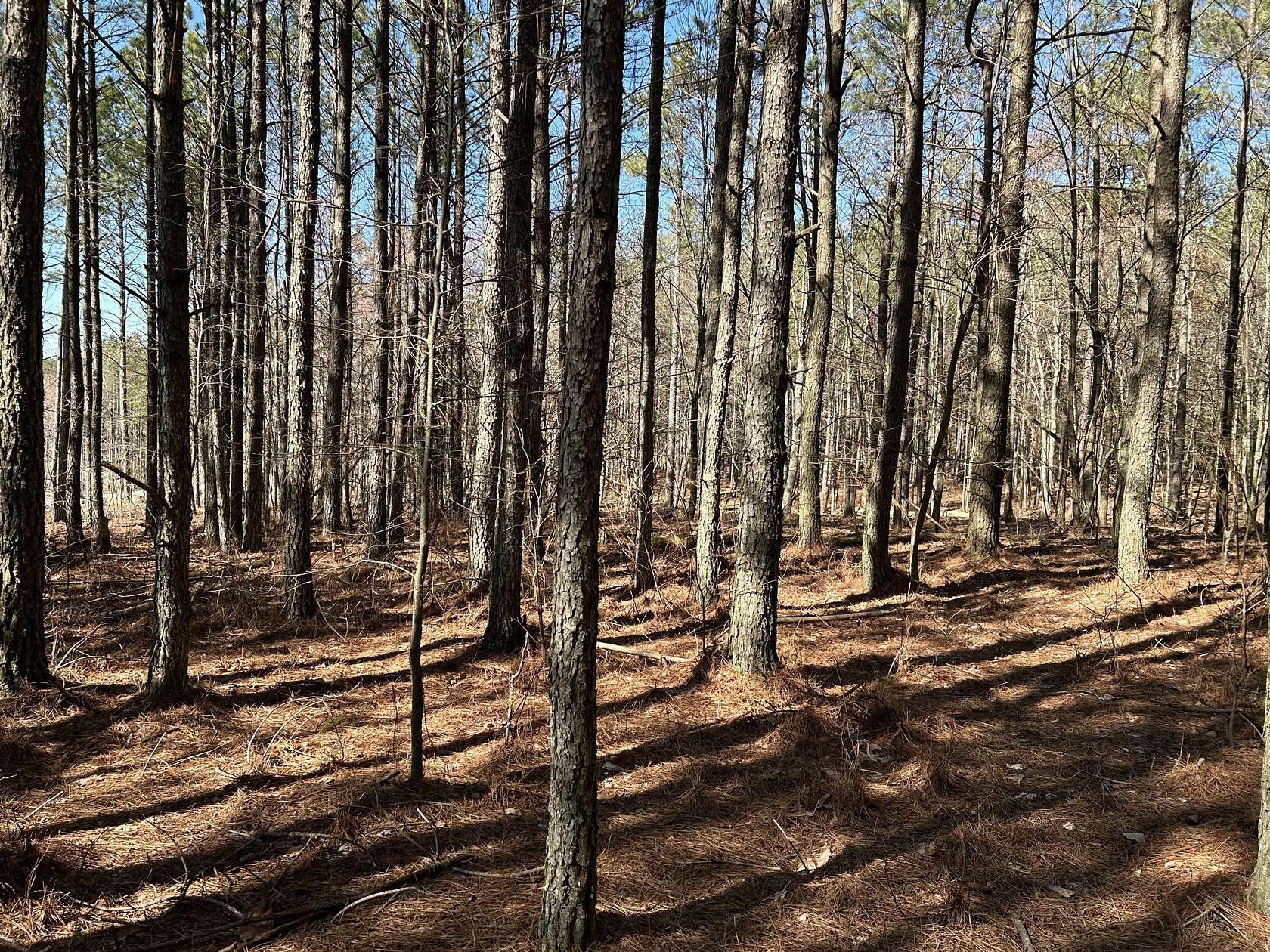 1 Acre of Residential Land for Sale in Jasper, Tennessee