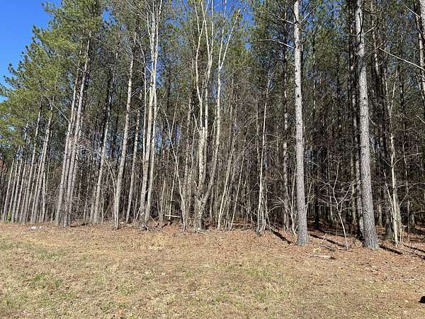 1 Acre of Residential Land for Sale in Jasper, Tennessee