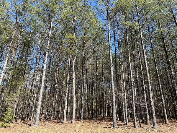 1 Acre of Residential Land for Sale in Jasper, Tennessee