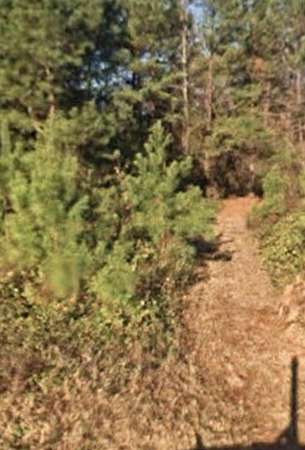 20.3 Acres of Recreational Land for Sale in Sumter, South Carolina