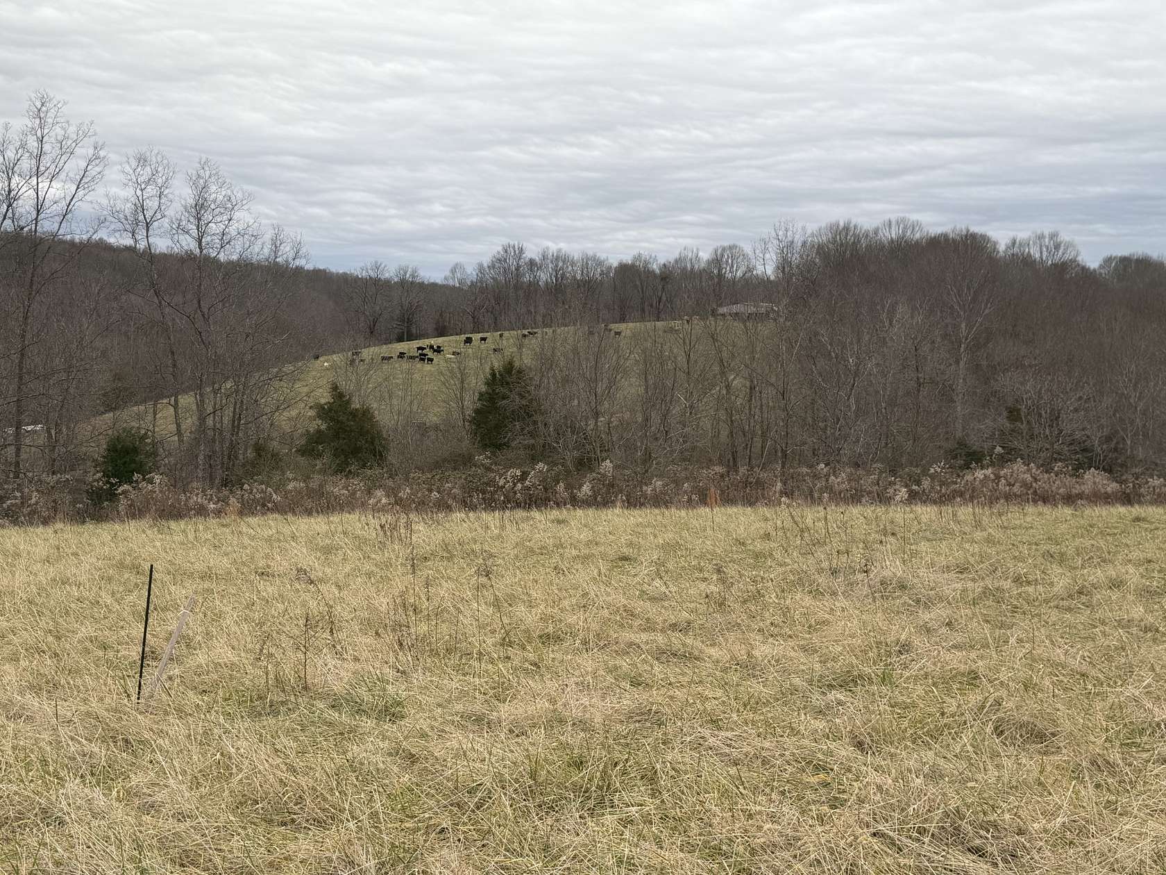 10 Acres of Land for Sale in Lafayette, Tennessee