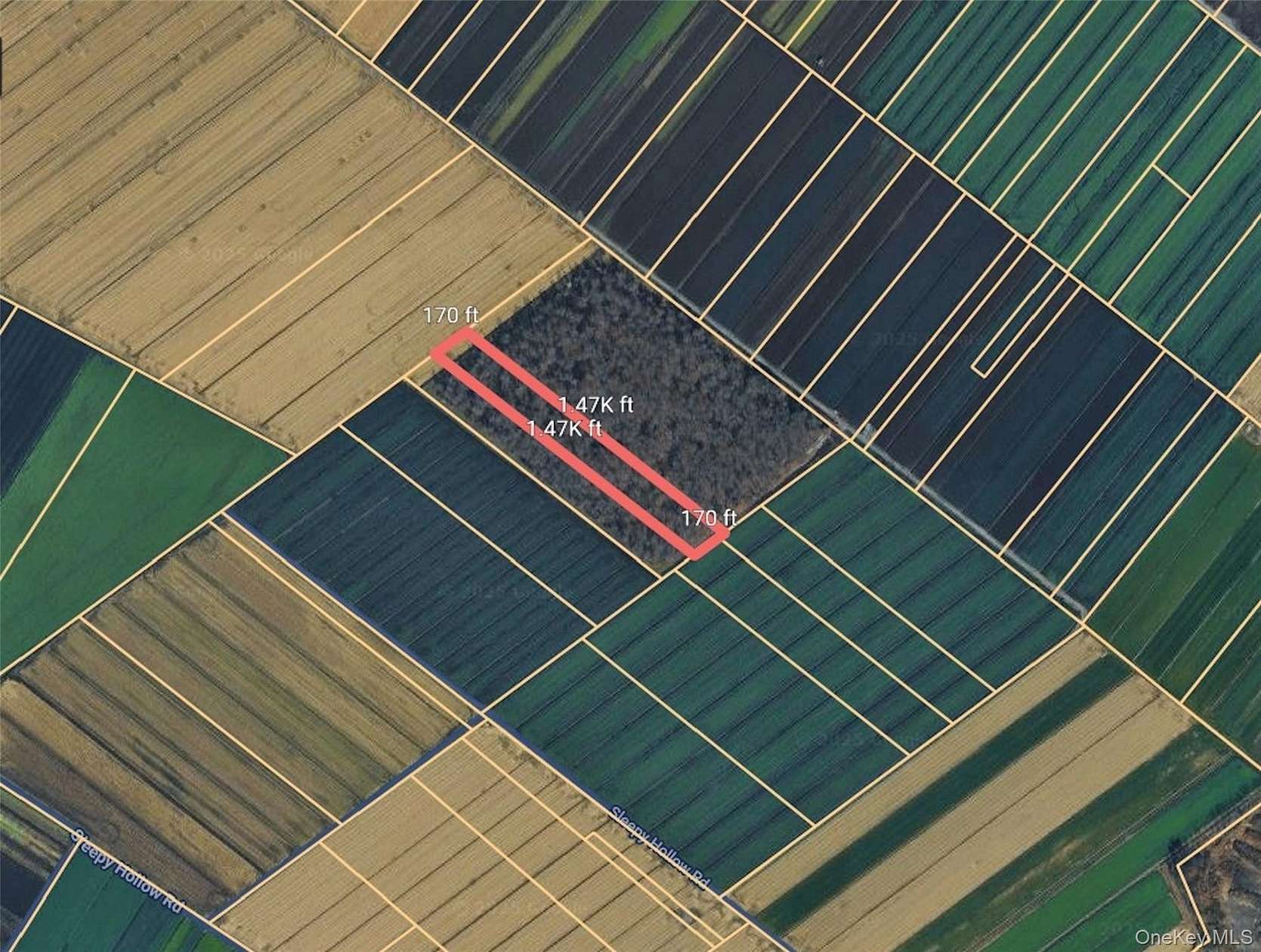 5.8 Acres of Agricultural Land for Sale in Florida, New York